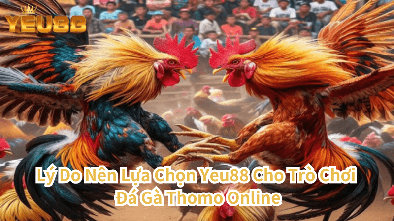 Lý Do Nên Lựa Chọn Yeu88 Cho Trò Chơi Đá Gà Thomo Online