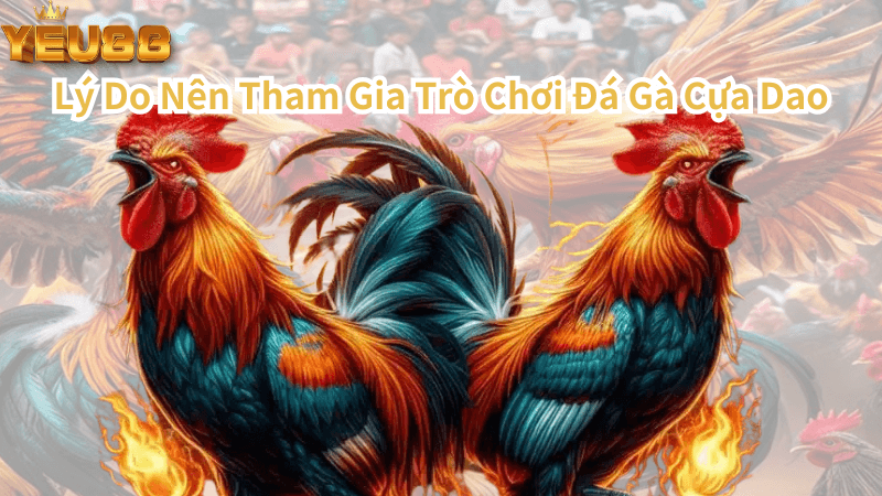 Lý Do Nên Tham Gia Trò Chơi Đá Gà Cựa Dao Tại Yêu88 