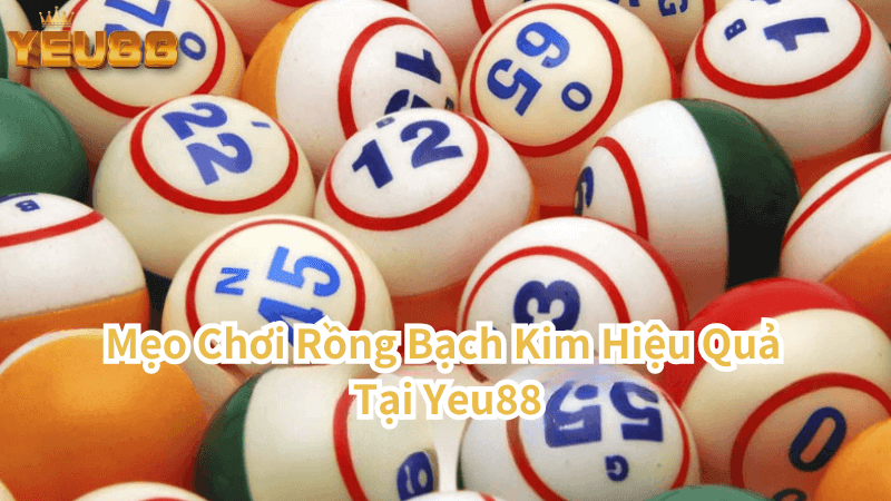 Mẹo Chơi Rồng Bạch Kim Hiệu Quả Tại Yeu88