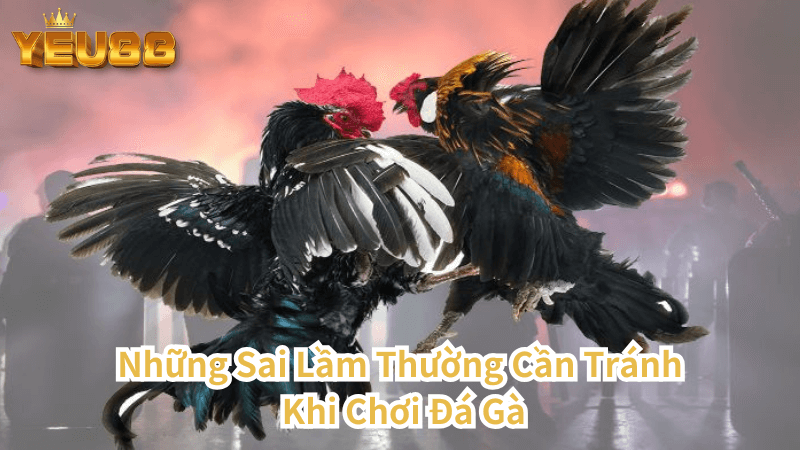 Những Sai Lầm Thường Gặp Khi Chơi Đá Gà Tại Yeu88